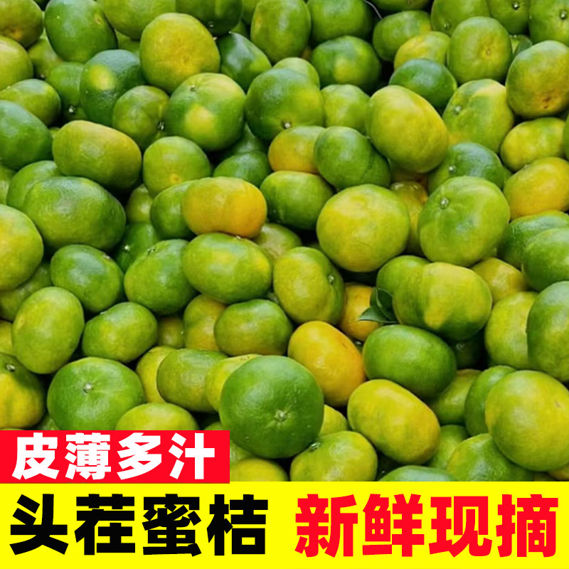 云南蜜橘特早熟桔子新鲜水果9斤当季5青皮桔子无籽孕妇整箱蜜橘10