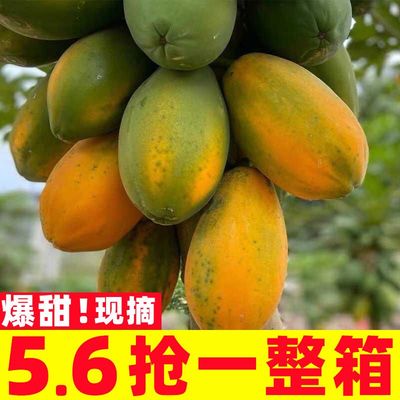 云南红心木瓜新鲜孕妇水果当季特产青冰糖红心牛奶木瓜整箱包邮10