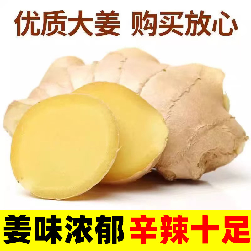 【生姜推荐榜】正宗山东老姜大姜