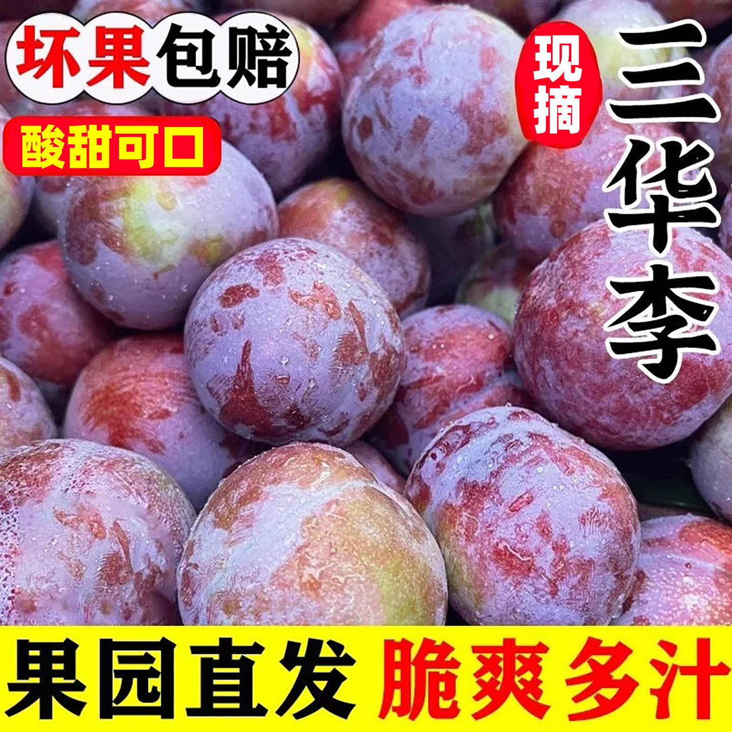 正宗红心李三华李5斤新鲜现摘水果钱三月李子排当季孕妇整箱批发