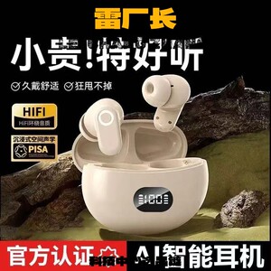 瑞和耳机德款无线蓝牙耳机降噪高音质高颜值运动超长续航