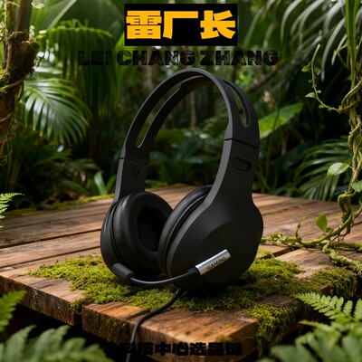 睿禾科技新款头戴式耳机口语听力考试带麦电竞电脑笔记本有线耳麦