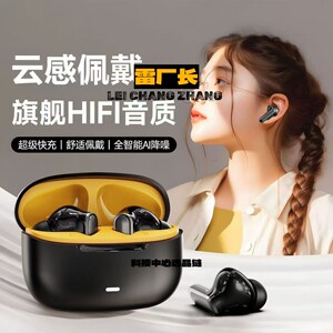 瑞和科技耳机新款蓝牙耳机半入耳式超长续航高音质无线降噪防掉高