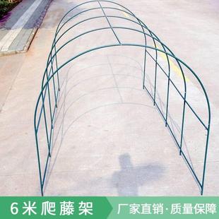 6米钢管植物爬藤架子园艺支架百香果蔷薇葡萄架楼顶种菜大棚骨架