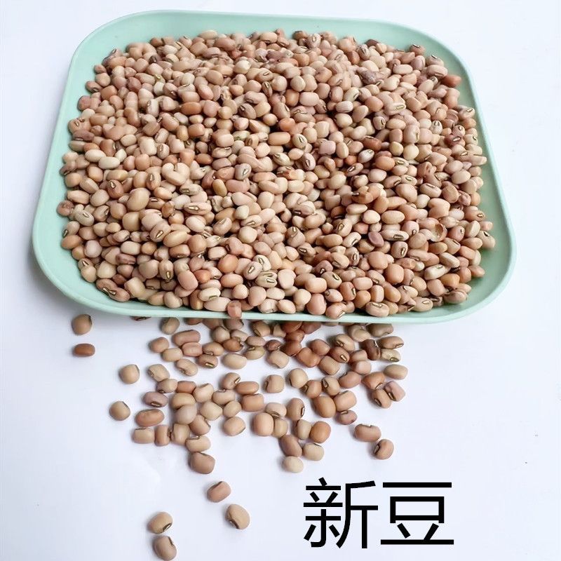 赤豆 缸豆 新赤豆客家擂茶配菜包粽子豆五谷粗粮客家茶菜擂茶配料