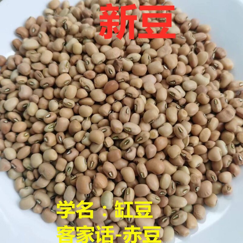 赤豆 缸豆 新赤豆客家擂茶配菜包粽子豆 粗粮客家茶菜擂茶配料