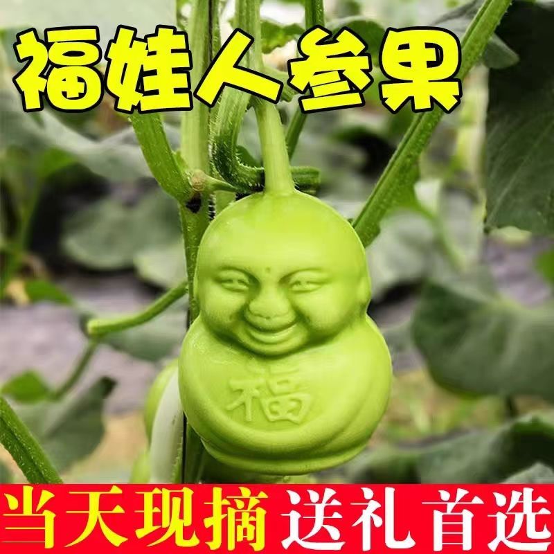 人参果福娃新鲜娃娃水果人形果人身果长寿果贡果甜瓜节日礼品罕见