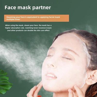 金稻热喷蒸脸器纳米喷雾补水仪美容仪家用蒸眼仪打开毛孔蒸脸仪