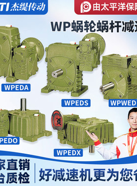 WPEDA/WPEDS/WPWED/WPEDO/WPEDX蜗轮蜗杆减速机变速齿轮箱波箱