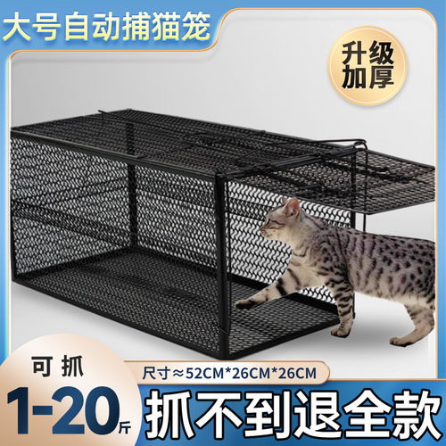 捕猫神器全自动笼人道救