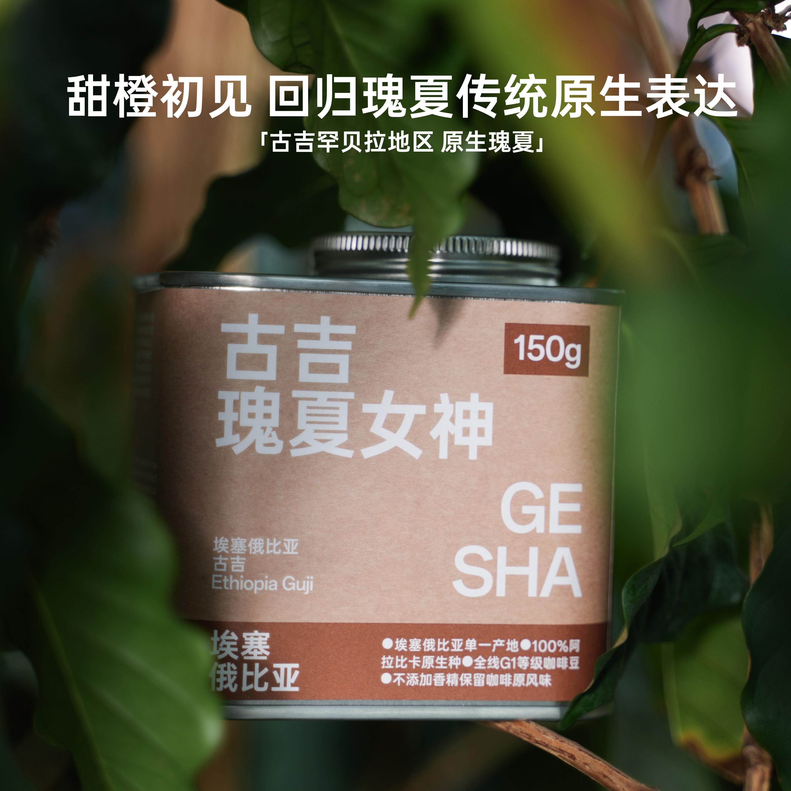 瑰夏咖啡豆耶古咖啡花香图片