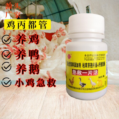禽用鸡鸭鹅用养鸡专用