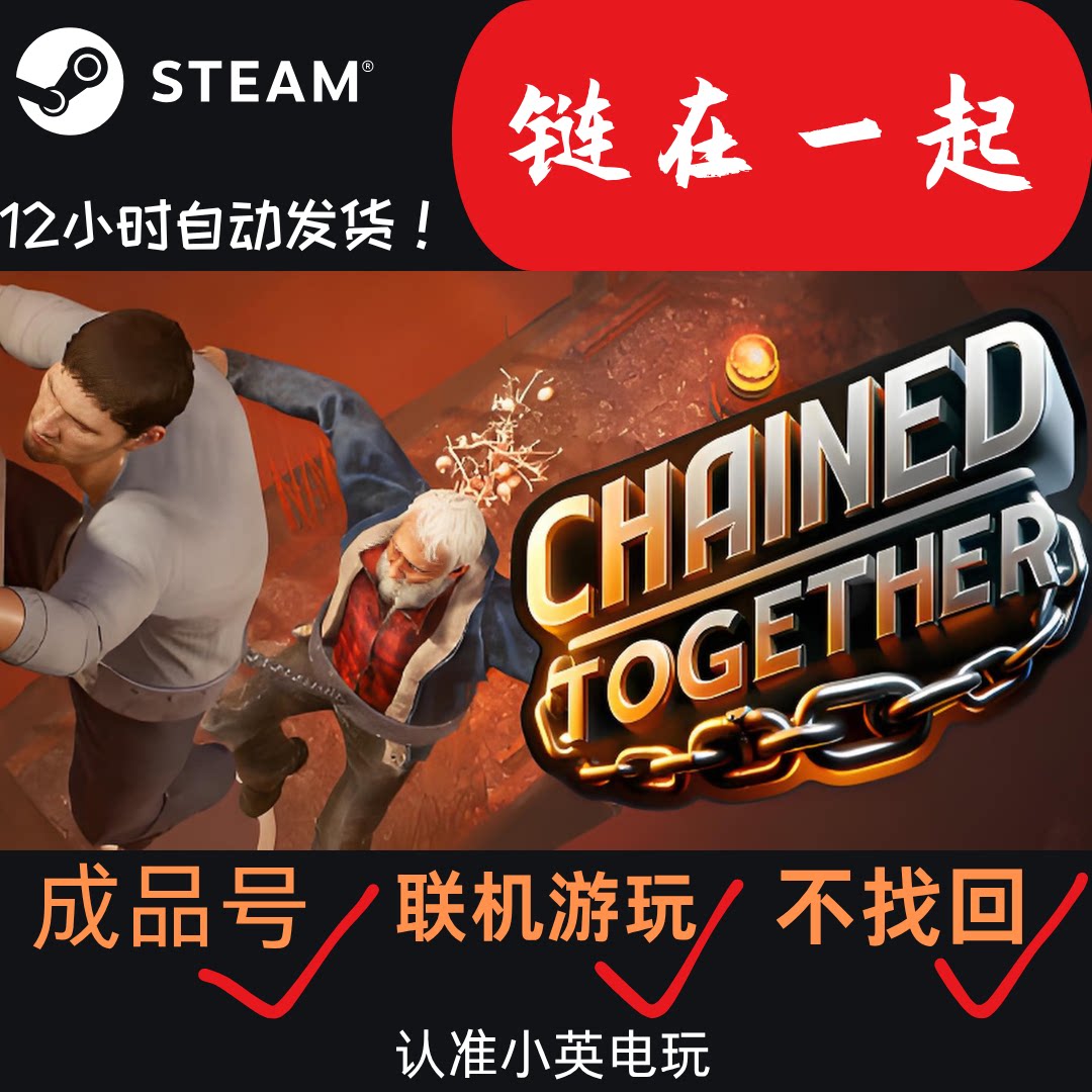 链在一起Steam正版成品号直登