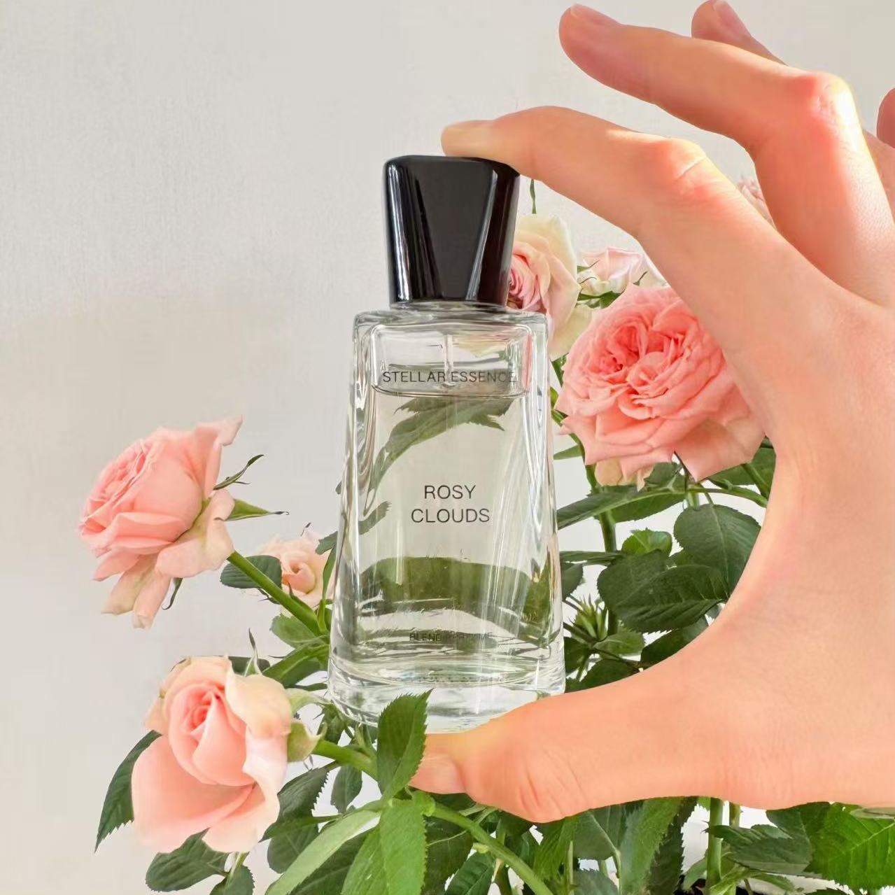 stellaressence香水试香