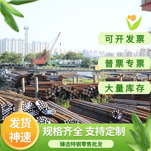 40Cr 42CrMo 65Mn弹簧钢GCr15 16MnCr5 20CrMnTi 38CrMoAl合金钢