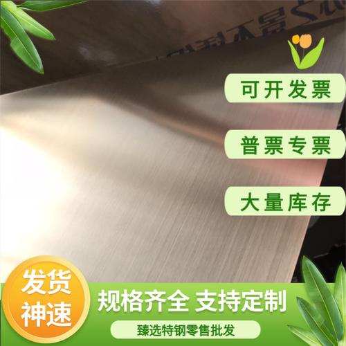 022Cr19Ni10不锈钢X6CrNiTi18 板12Cr17Mn6Ni5N棒X6Cr17 X46Cr13