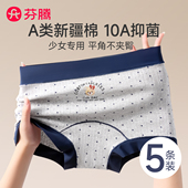 英伦小熊四角短裤 芬腾平角少女内裤 女大童初中生纯棉抗菌2026新款