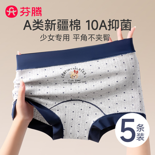 英伦小熊四角短裤 芬腾平角少女内裤 女大童初中生纯棉抗菌2026新款