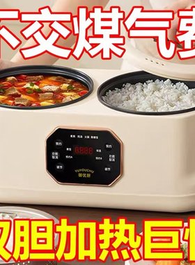 全自动预约双胆电饭煲