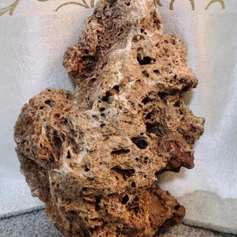 速发天然吸水石原石假山盆景造景石毛料菖蒲M石斛附石抱石景观石