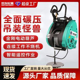 卷扬机提升机 小金刚电动葫芦220v双孔家用吊机小型悬挂吊机快速式