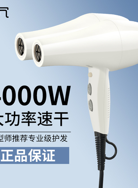 双筒吹风机双头高速双电机