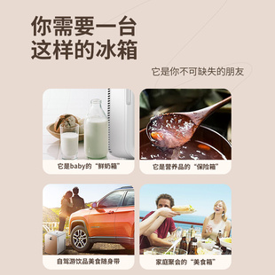 SAST迷车载你小冰箱mini宿舍出租房小型母乳单人用冷藏箱车家两用