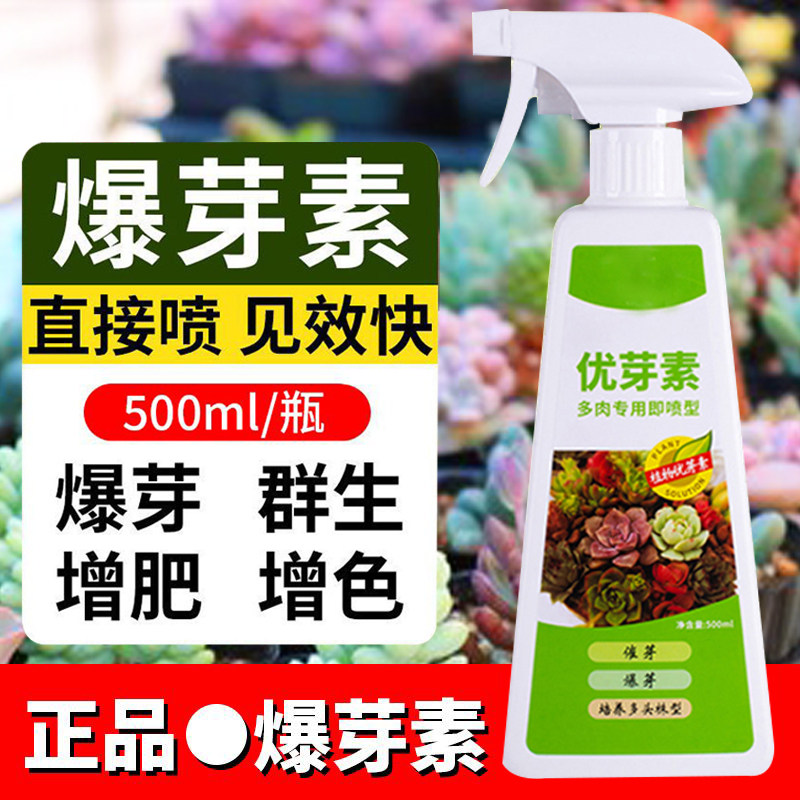 优芽素多肉专用植物三角梅生根爆芽素营养液花卉促生长矮胖素肥料
