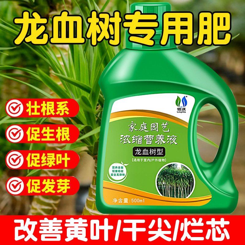 龙血树营养液叶子发黄干尖龙须树专用肥料花肥盆栽通用太空铁肥料