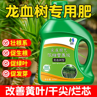 龙血树营养液叶子发黄干尖龙须树专用肥料花肥盆栽通用太空铁肥料