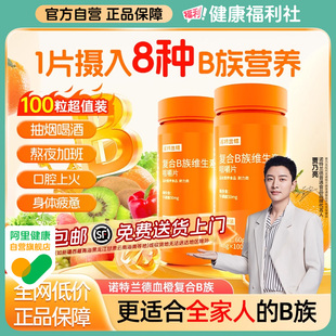 诺特兰德复合维生素b族片维生素c多种维生素b6 旗舰店 b12官方正品