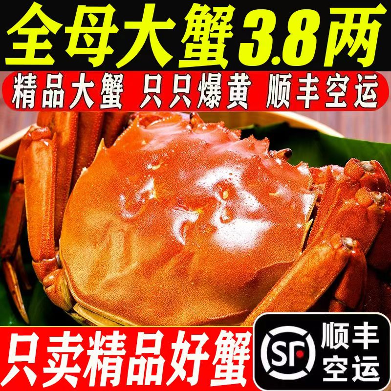 【只做精品好蟹】肉多黄多膏多！