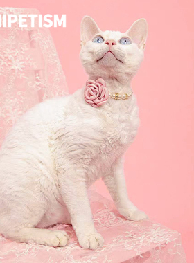 UNIPETISM 淡雅高级山茶花珍珠项链 宠物配饰 UNI24M07