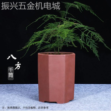 花盆紫泥花盆兰花盆盆景盆室内植物透气四方盆景盆微瑕清仓 新款