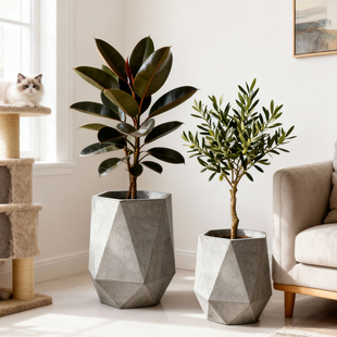 宝诗格园林风户外庭院水泥盆栽落地复古镁泥花盆多边形客厅花盆