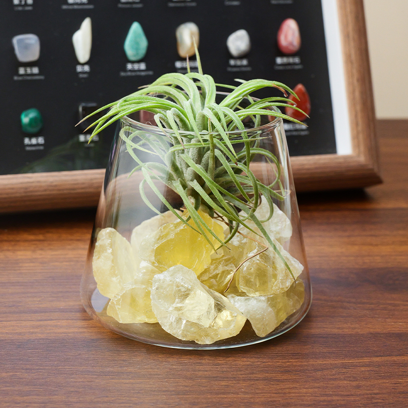 天然水晶原石矿石空气凤梨微景观