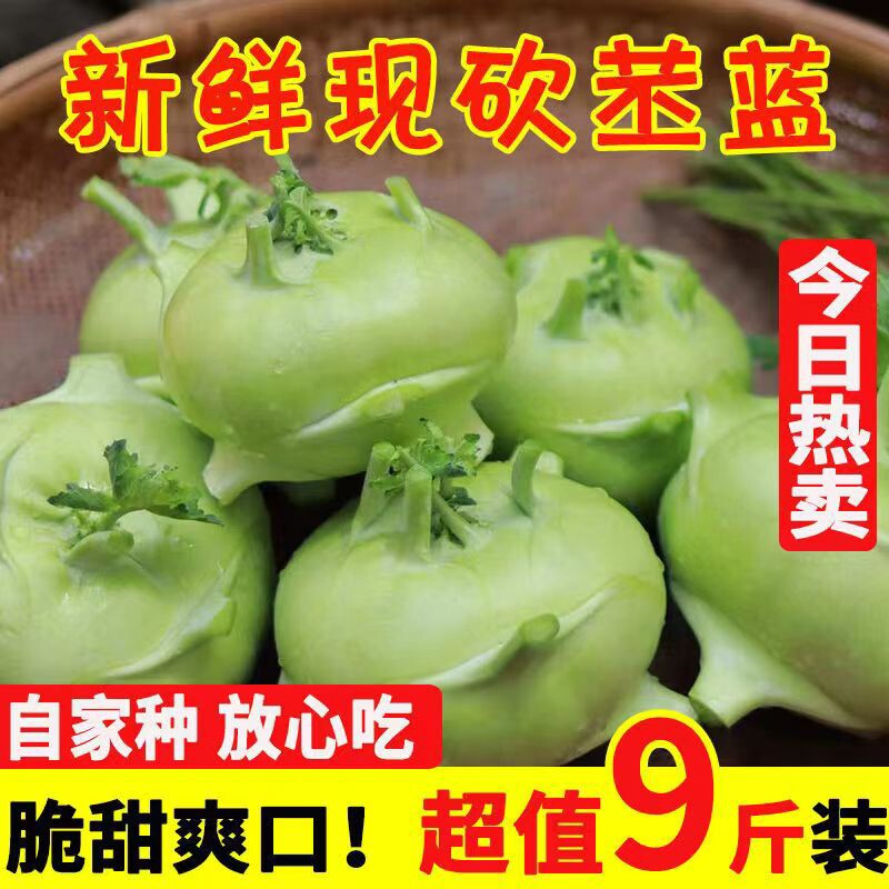 萝卜大头菜新鲜榨菜新鲜蔬菜苤蓝水果疙瘩菜芥蓝菜头咸菜泡菜撇了 - 实物图