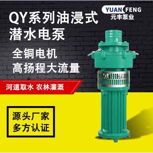 定制款 潜水电泵 QD铸铁立式 潜水泵三相电农用灌溉水泵家用油浸式