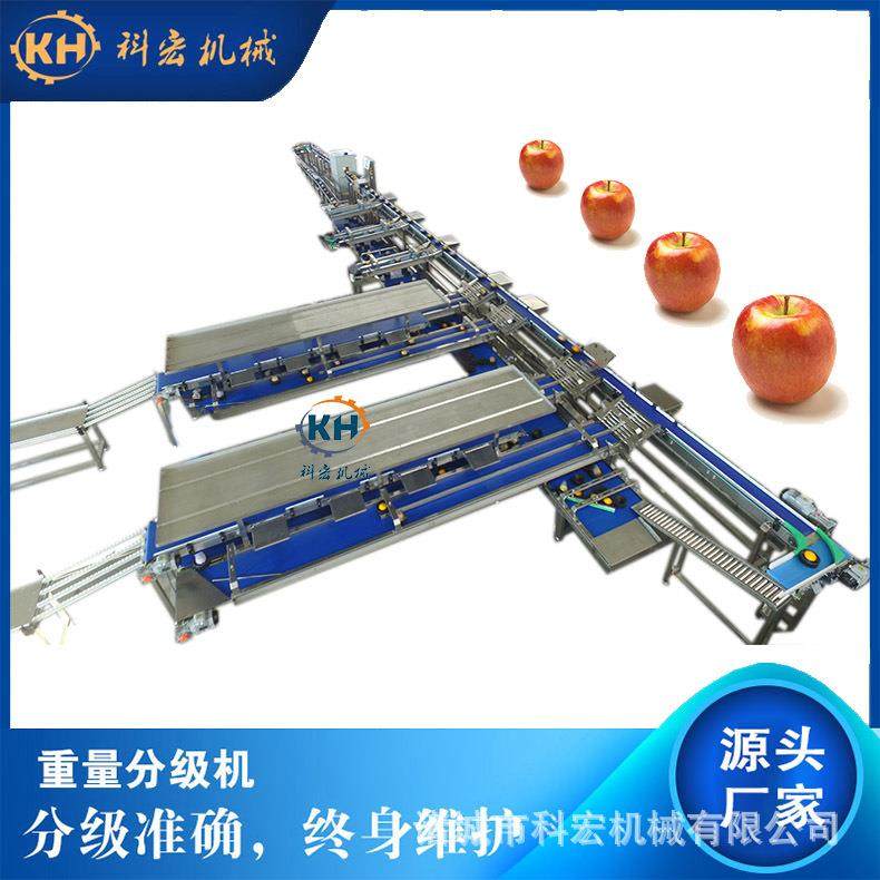 机械无损选机榴莲秋月梨芒果智能分选哈密瓜西瓜重量分拣,工业油品/胶粘/化学/实验室用品,其他实验室设备,淘宝优惠券,粉丝福利购,淘宝优惠卷