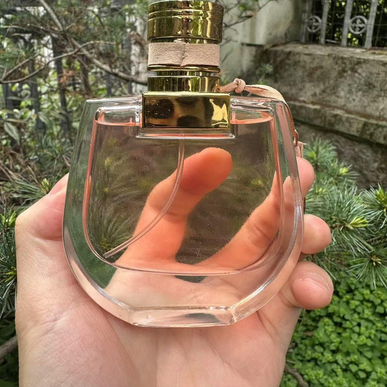 肥麻雀推荐  小猪包 【75ml】花香西普调