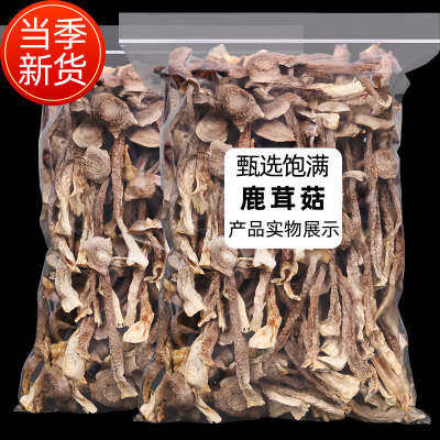 正宗鹿茸菇干货500g新鲜特级野生新鲜一级商用干鹿茸菌脆脆菇净重