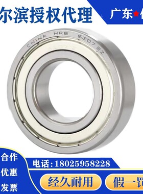 哈尔滨轴承6307 6308 6309 6310 6311 6312 6313 6314 63152RZ