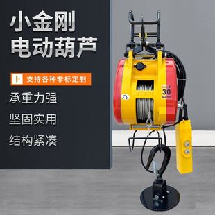 双孔升降机小金刚 小金刚电动葫芦微型家用升降起重小吊机悬挂式