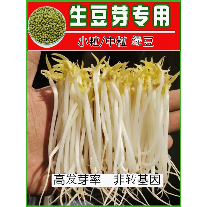 发豆芽绿豆绿豆生豆芽长绿豆芽小粒中粒非转基因水培发芽豆可食用-封面