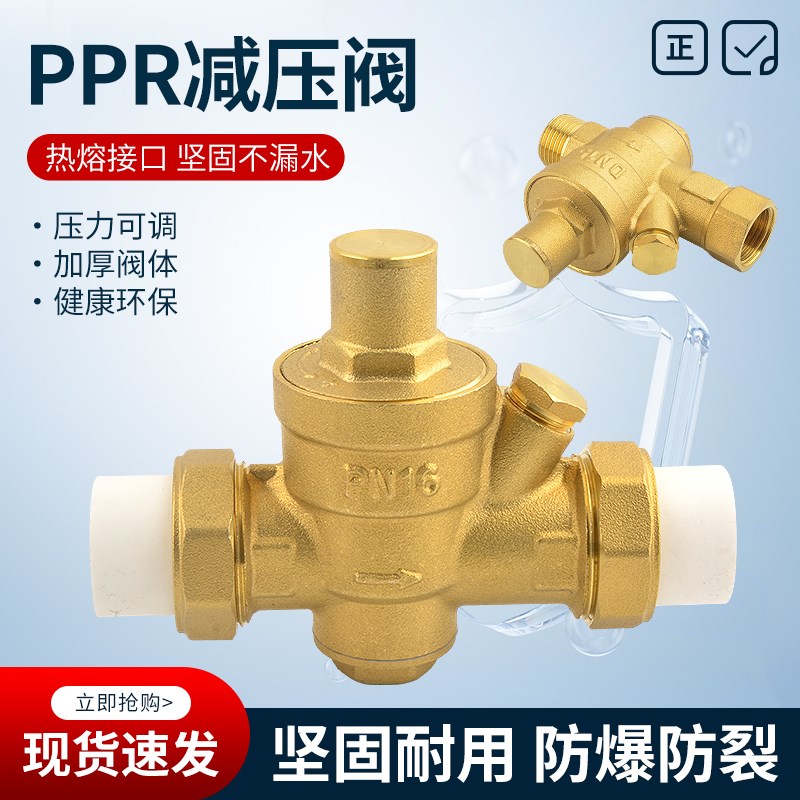 PE/PPR20全铜自来水管双活接内外牙丝热净水器家用稳压阀门减压阀