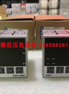 AISET上海亚泰 NGE-3000 NGE-3410 智能温控仪 继电器输出 现货
