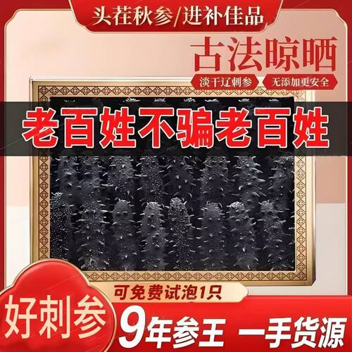 大连淡干辽刺参正品国标15倍