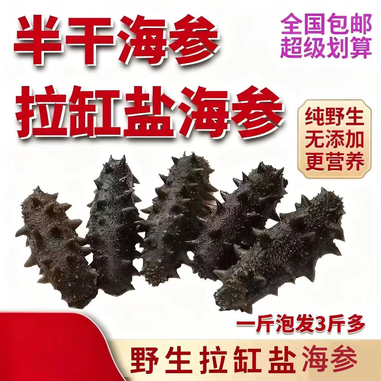 大连纯野生底播海参干货