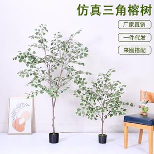 饰摆件假植物造景 仿真绿植三角榕假树盆栽仿真榕树室内客厅落地装