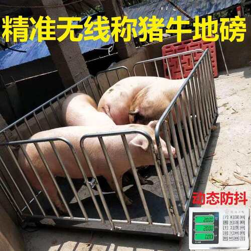 无线电子地磅秤称猪电子秤称牛地磅称1-3吨地磅加厚畜牧围栏秤2吨